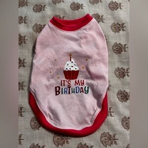 Doggy Birthday Outfit 🎂 🐶